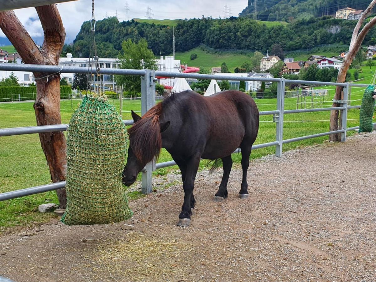 Priv. Apartment Bei Swiss Holiday Park Morschach Exterior foto